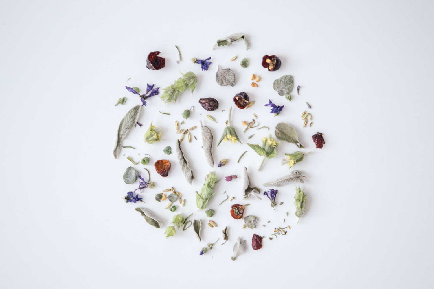 Rhoeco FOREST Herbal Tea Blend Würziger Kräutertee aus biologischem Anbau 35g