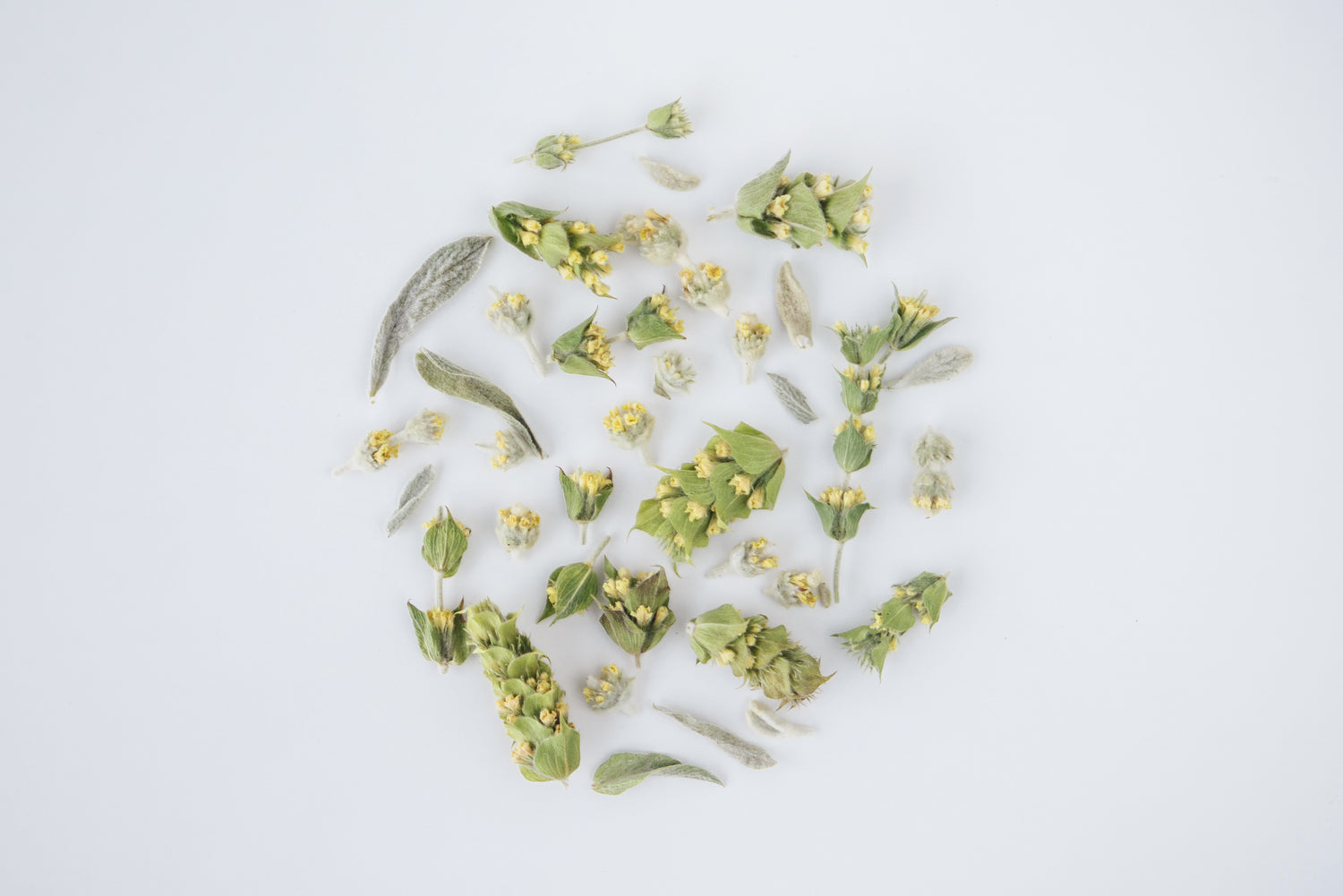 Rhoeco MOUNTAIN Herbal Tea Blend Frischer Bio Kräutertee 20g