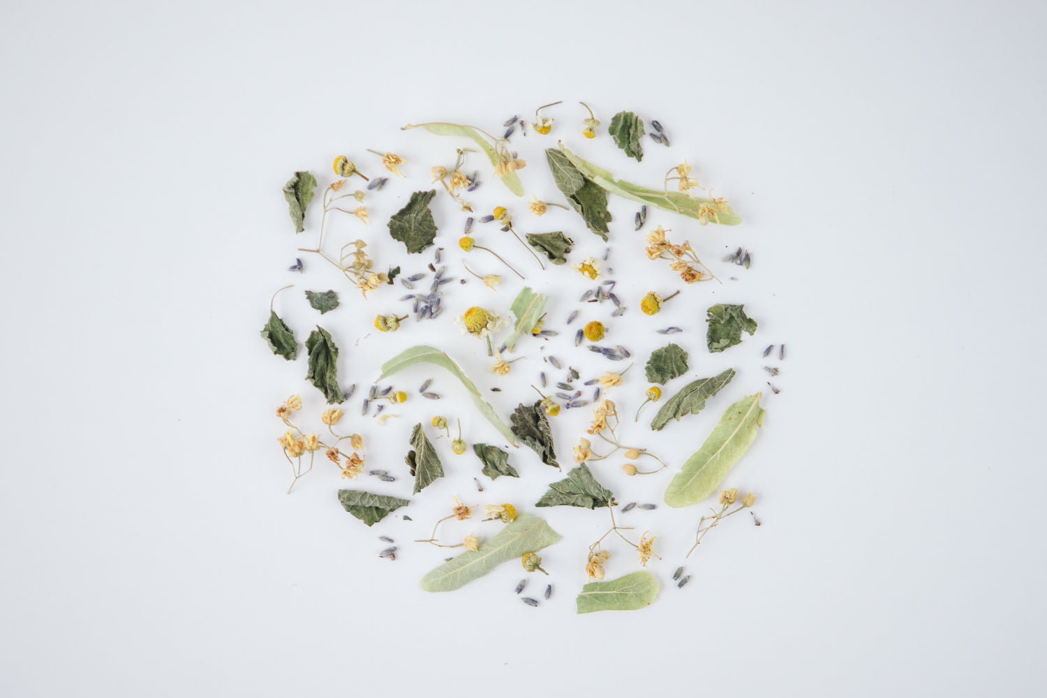 Rhoeco SEA Herbal Tea Blend Leichter Kräutertee mit Meeresnote 20g